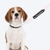 HUFT Trooper Walking Aid Leash & Collar Insert (In Training) - Heads Up For Tails