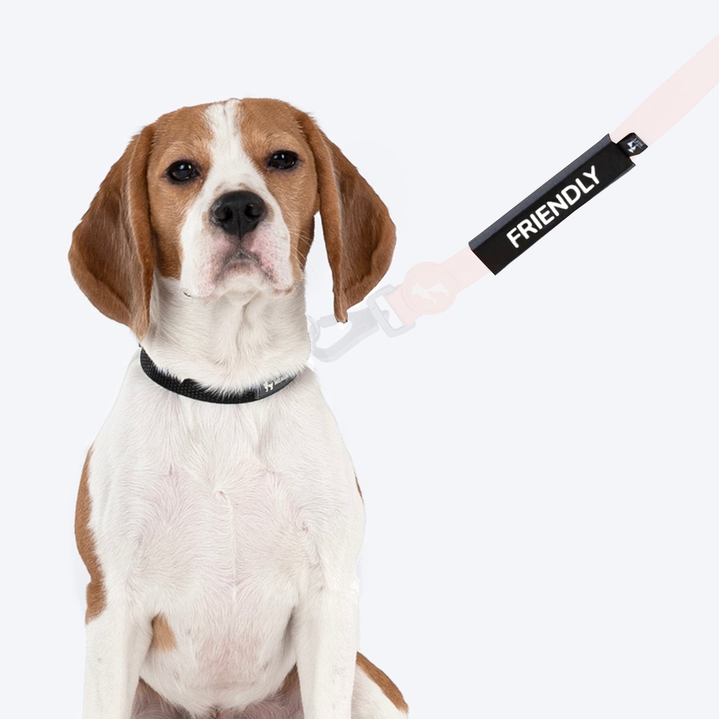 HUFT Trooper Walking Aid Leash & Collar Insert (Friendly) - Heads Up For Tails