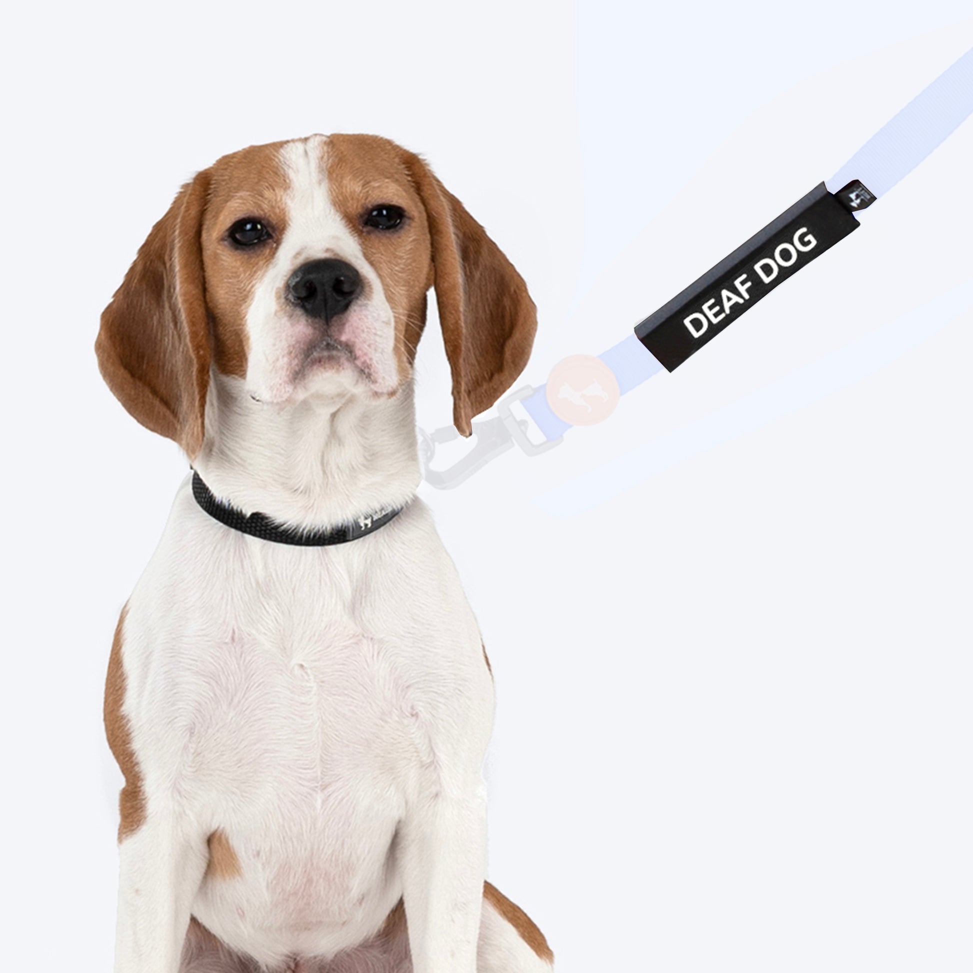 HUFT Trooper Walking Aid Leash & Collar Insert (Deaf Dog) - Heads Up For Tails