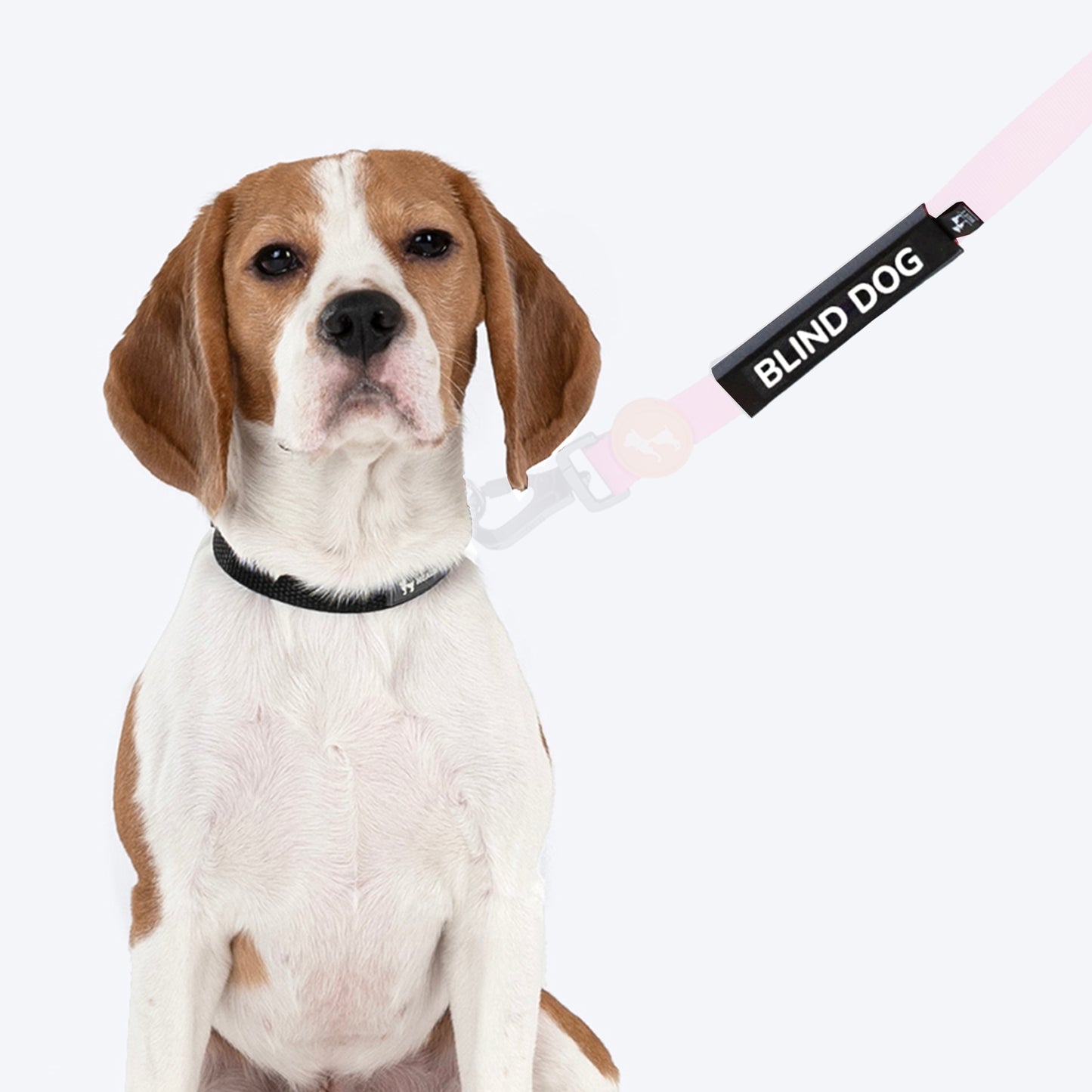HUFT Trooper Walking Aid Leash & Collar Insert (Blind Dog) - Heads Up For Tails