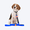 HUFT Trooper Walking Aid Leash & Collar Insert (Deaf Dog) - Heads Up For Tails
