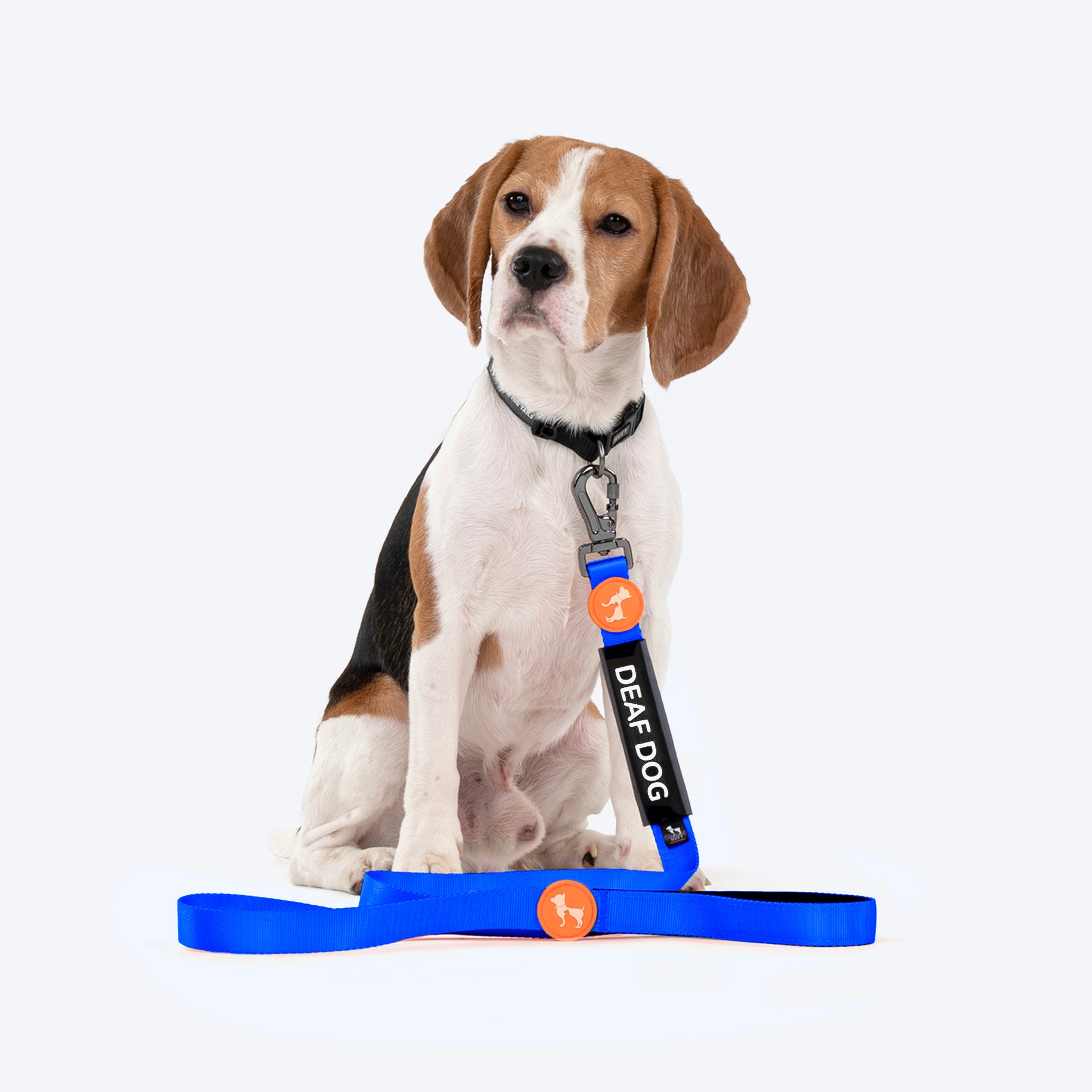 HUFT Trooper Walking Aid Leash & Collar Insert (Deaf Dog) - Heads Up For Tails