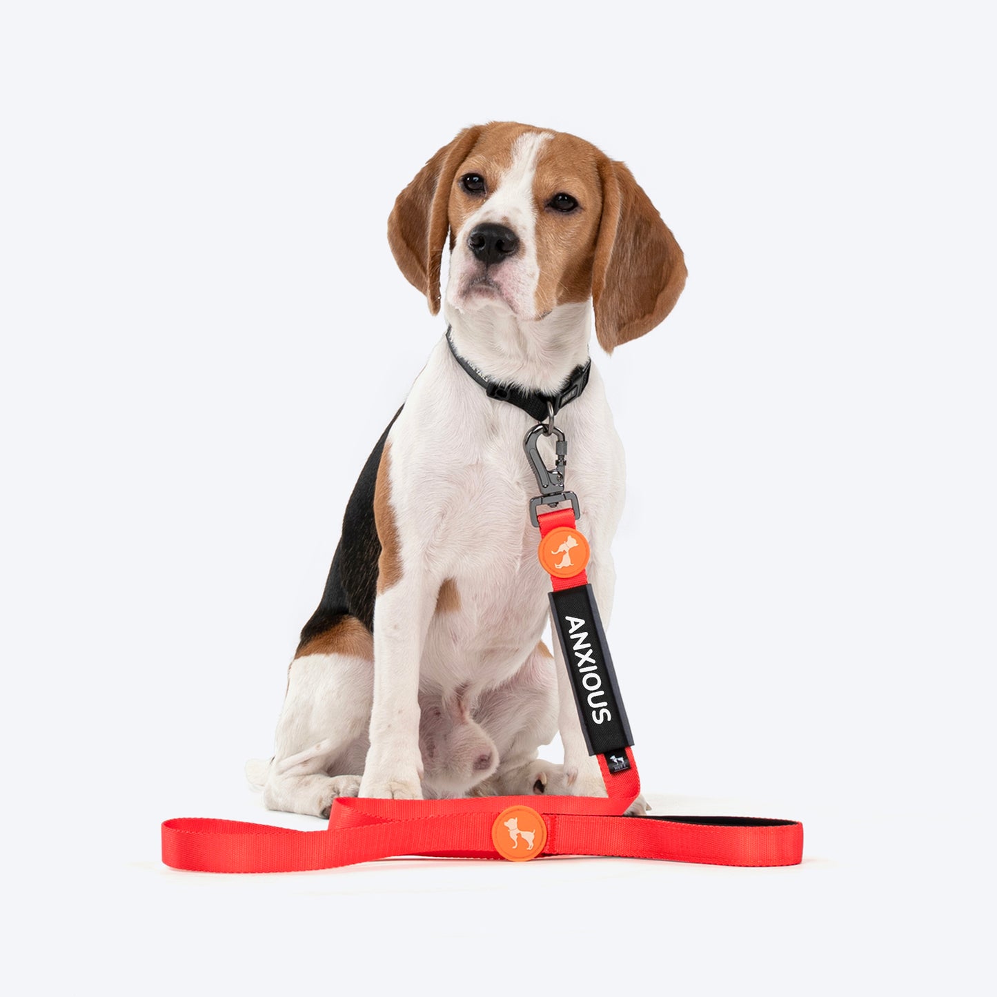 HUFT Trooper Walking Aid Leash & Collar Insert (Anxious) - Heads Up For Tails