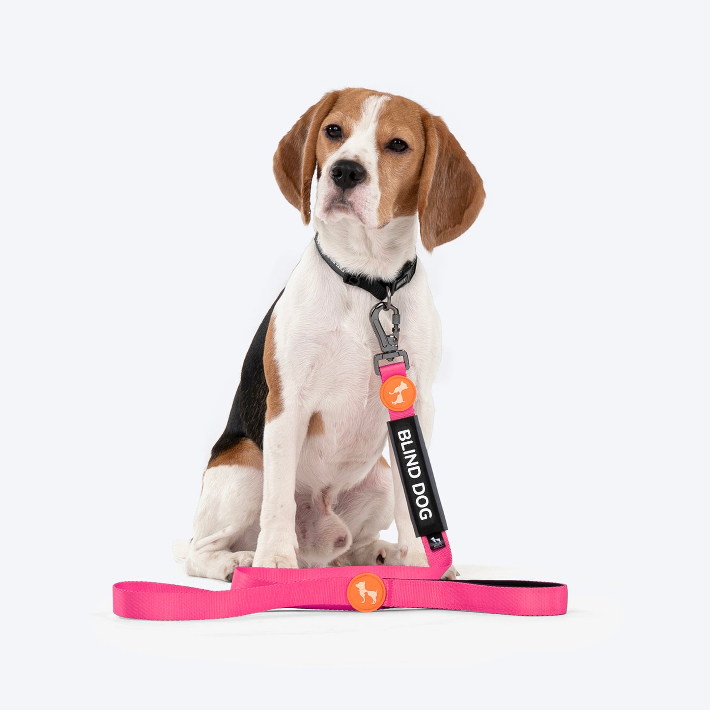 HUFT Trooper Walking Aid Leash & Collar Insert (Blind Dog) - Heads Up For Tails