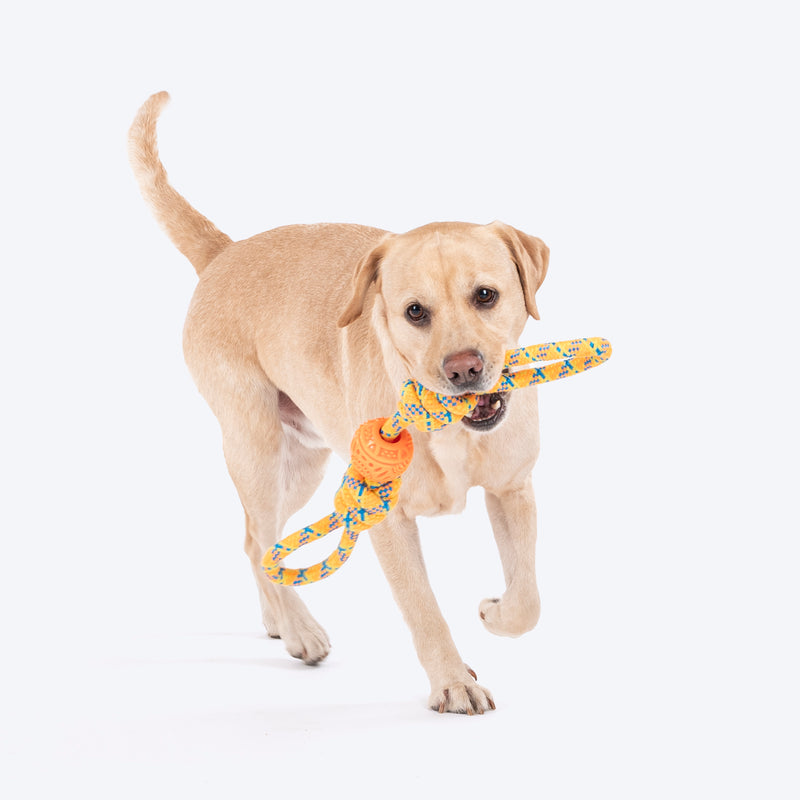 HUFT Tuggables Twisted Tug & Ball Rope Toy For Dog - Yellow & Orange - Heads Up For Tails