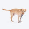 HUFT Tuggables Tug Twister Rope Toy For Dog - Blue & Orange - Heads Up For Tails