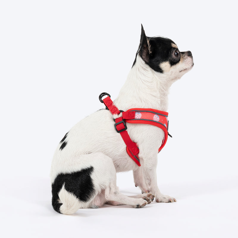 HUFT Free Flow Step In Harness & Leash Set For Dog - Berry Bliss Red - Heads Up For Tails