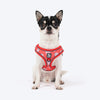 HUFT Free Flow Step In Harness & Leash Set For Dog - Berry Bliss Red - Heads Up For Tails