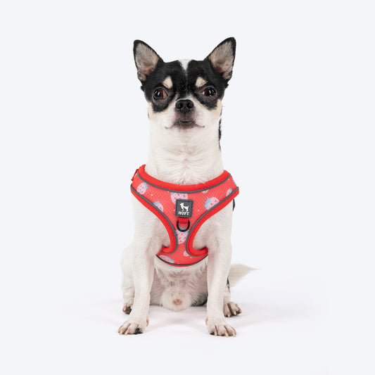 HUFT Free Flow Step In Harness & Leash Set For Dog - Berry Bliss Red - Heads Up For Tails
