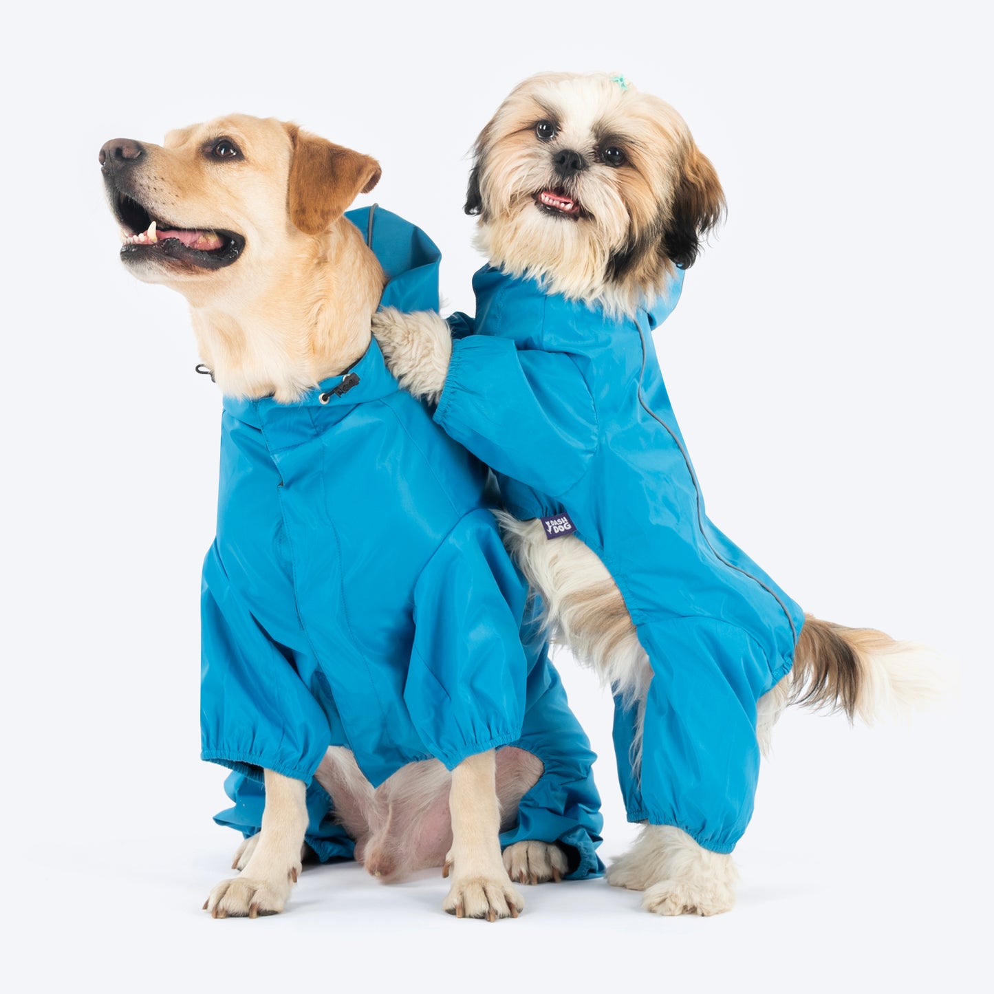 Dash Dog Puddle Jumper Full Coverage Raincoat For Dog - Electric Blue - Heads Up For Tails