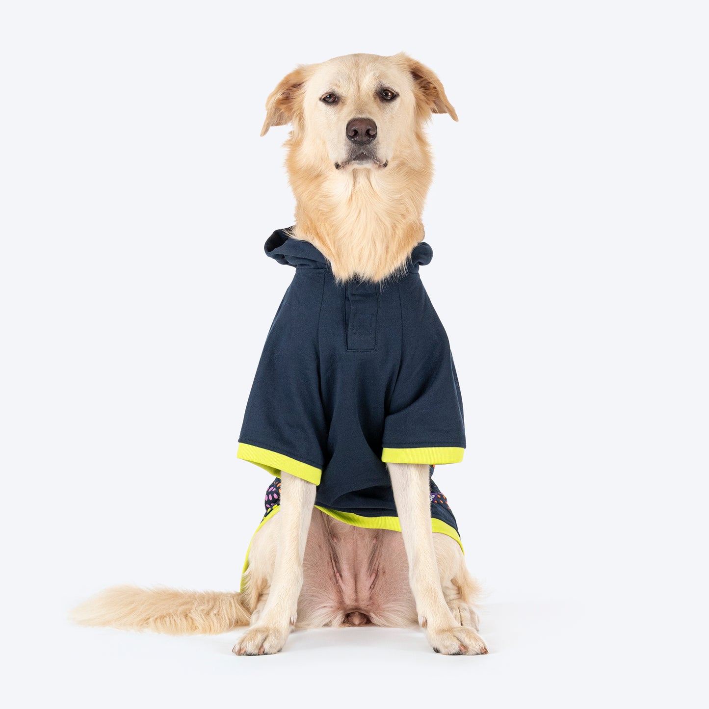 Dash Dog Super Strider Hoodie Sweatshirt For Dog - Navy Blue - Heads Up For Tails