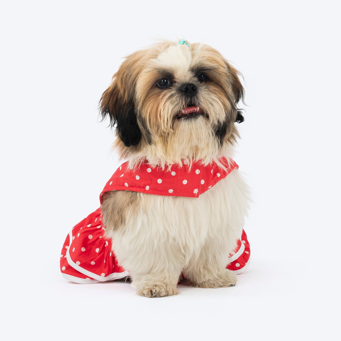 HUFT Polka Pawfection Dress For Dogs - Red - Heads Up For Tails