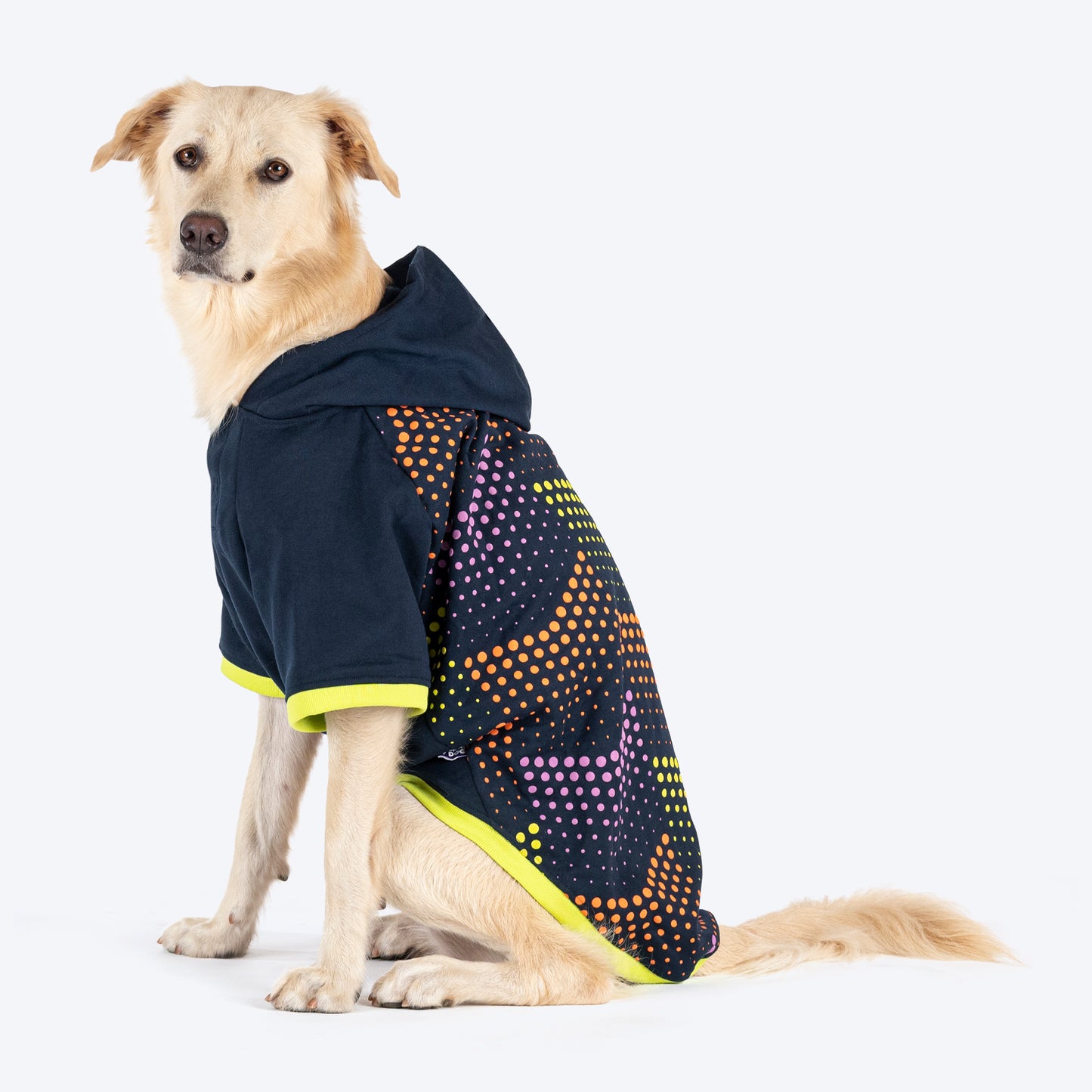 Dash Dog Super Strider Hoodie Sweatshirt For Dog - Navy Blue - Heads Up For Tails