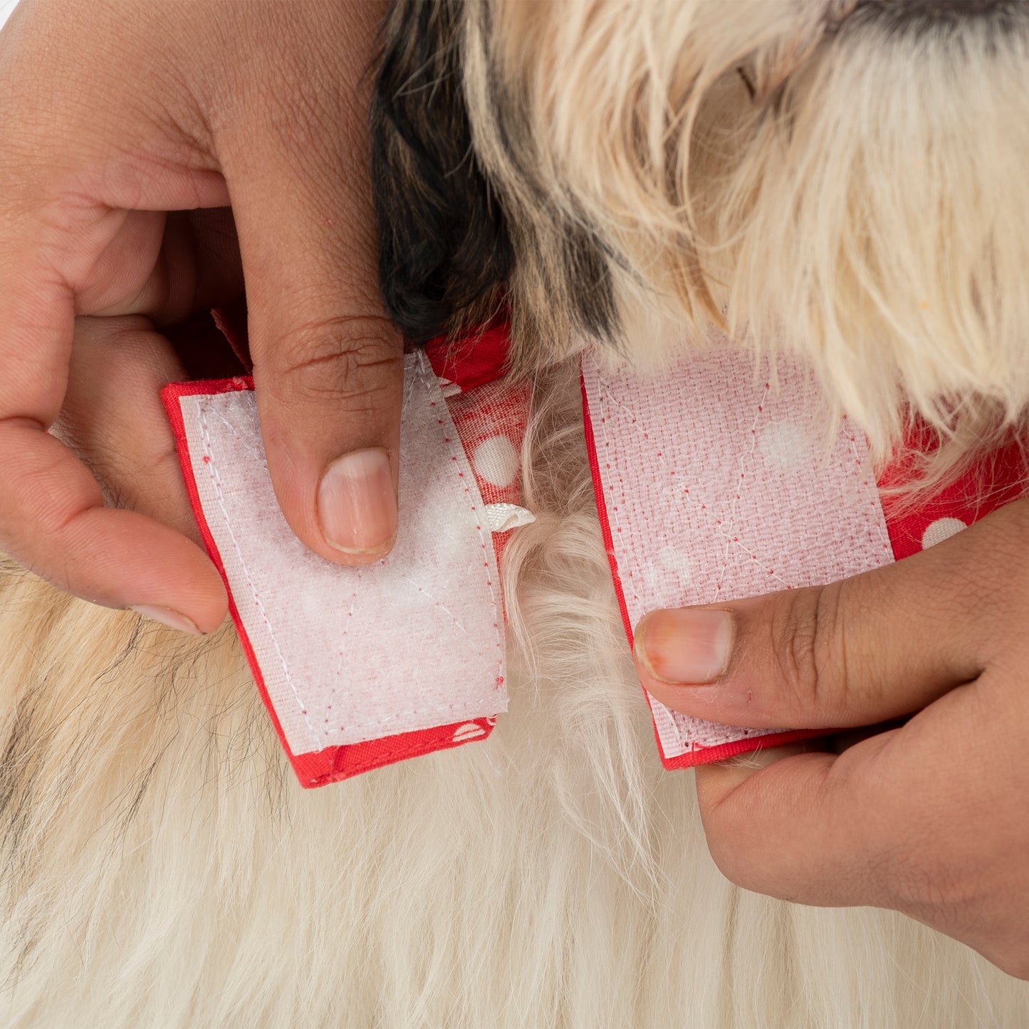 HUFT Polka Pawfection Dress For Dogs - Red - Heads Up For Tails