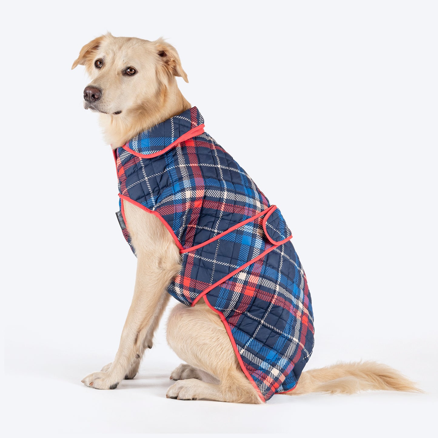 HUFT Grrberry Quilted Print Jacket For Dog - Blue & Coral - Heads Up For Tails