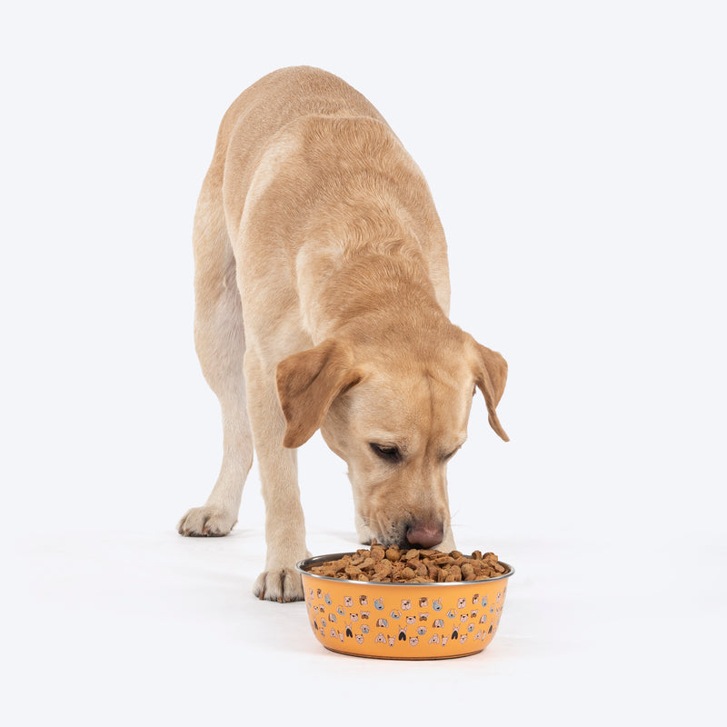 HUFT Doodle Tails Printed Steel Bowl For Dog - Yellow - Heads Up For Tails