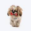 HUFT Chewtastic Snack Stick Chew Toy For Dog - Red - Heads Up For Tails