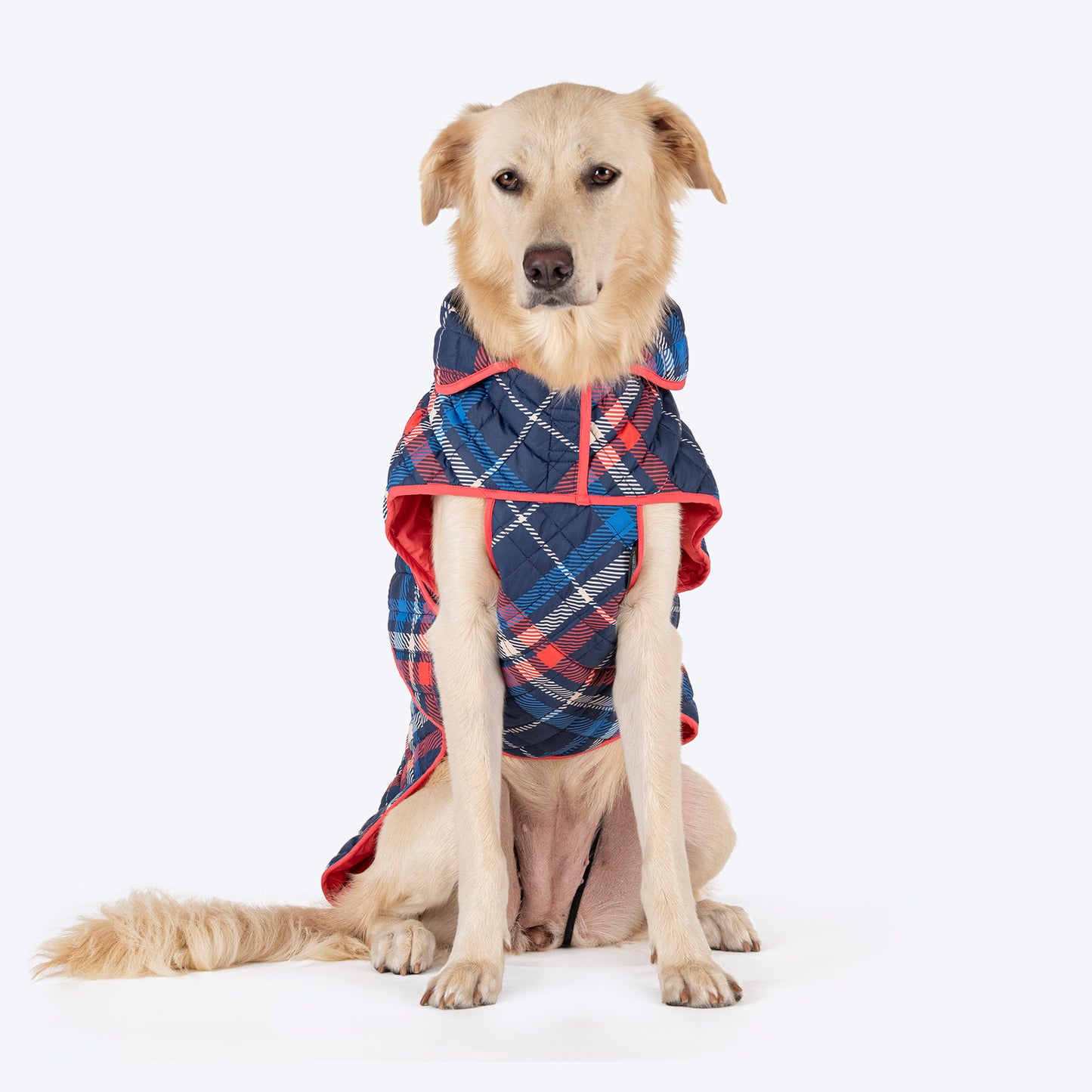 HUFT Grrberry Quilted Print Jacket For Dog - Blue & Coral - Heads Up For Tails