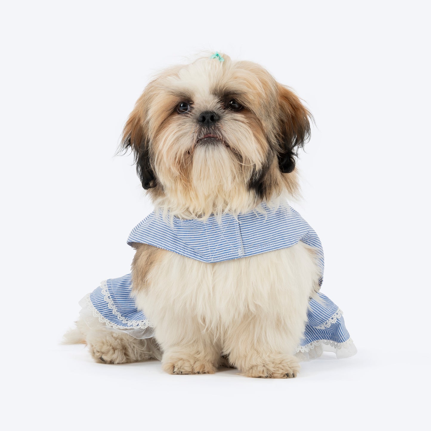 HUFT Tailor Stripe Dress For Dog - Blue - Heads Up For Tails