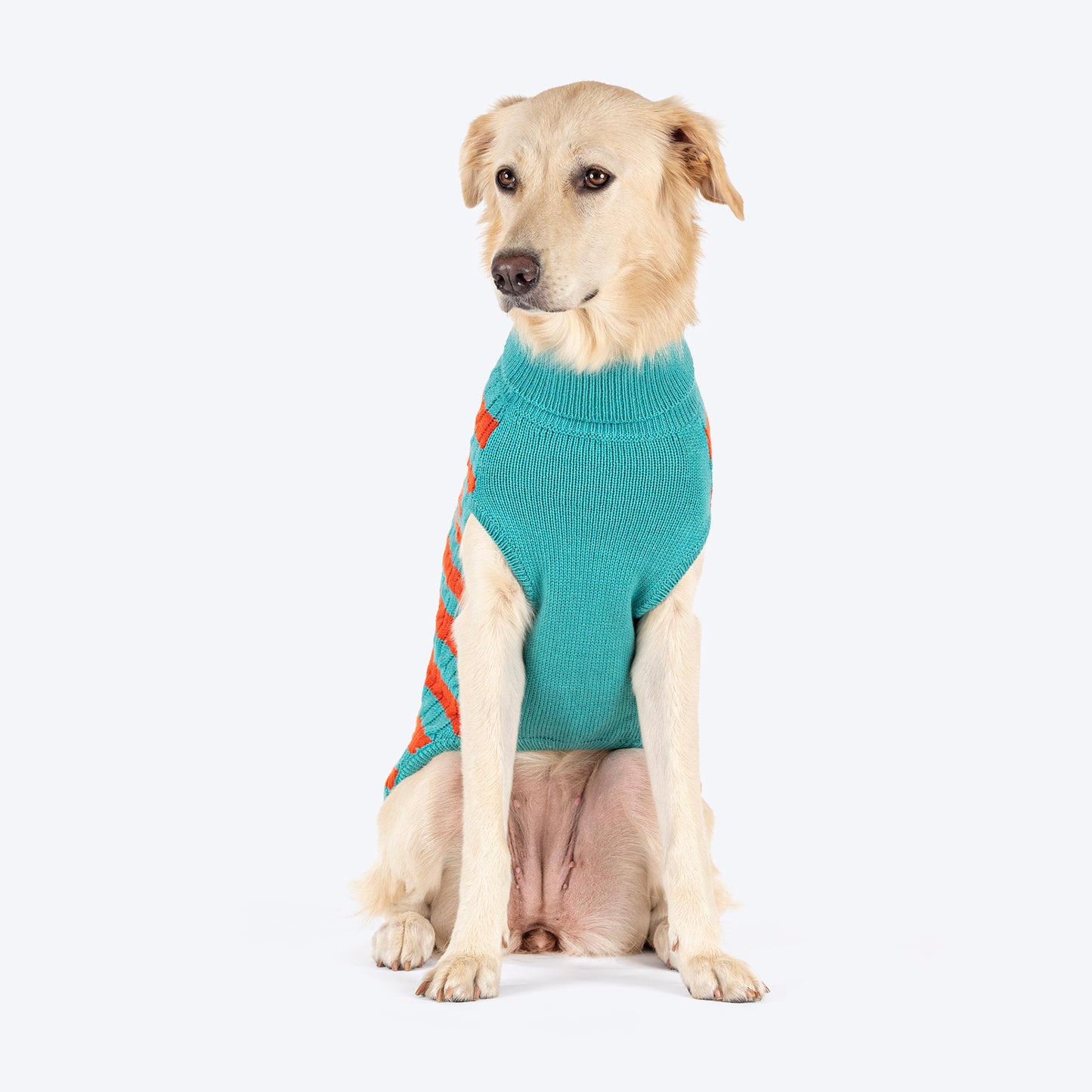 HUFT Snug Stripes Sweater For Dog - Turquoise Orange - Heads Up For Tails