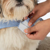 HUFT Tailor Stripe Dress For Dog - Blue - Heads Up For Tails