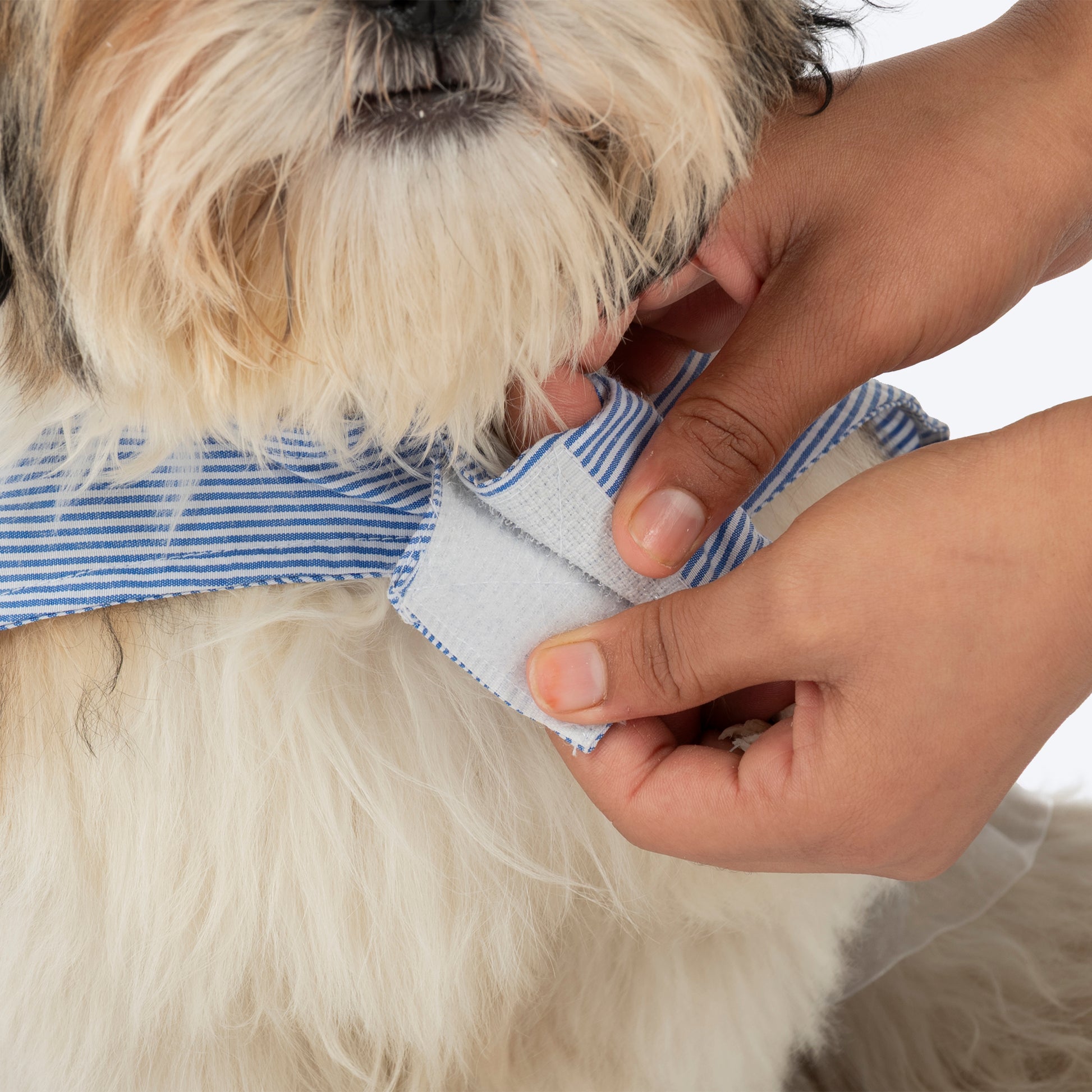 HUFT Tailor Stripe Dress For Dog - Blue - Heads Up For Tails