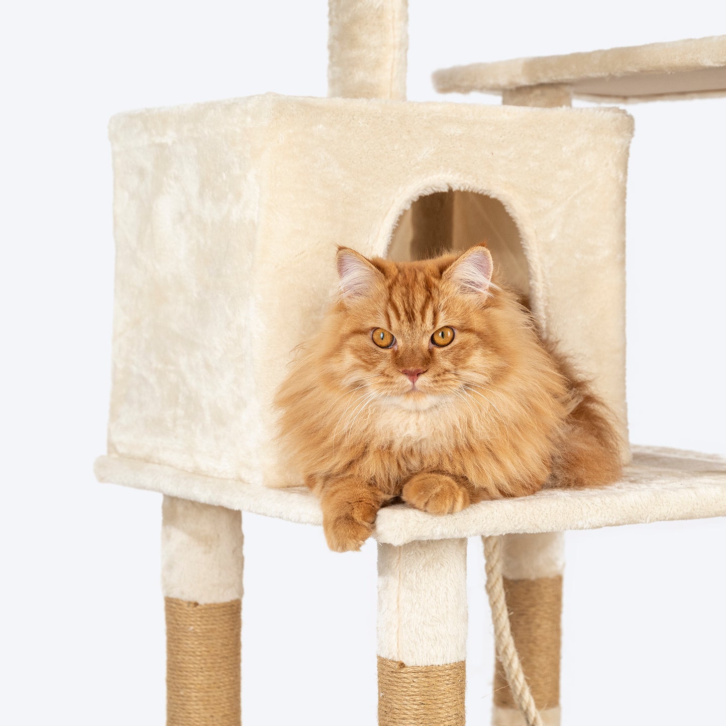 HUFT Purrch Paradise Multipurpose Cat Tree - Beige - Heads Up For Tails