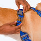 HUFT Active Pet Dog Harness - Royal Blue - Heads Up For Tails
