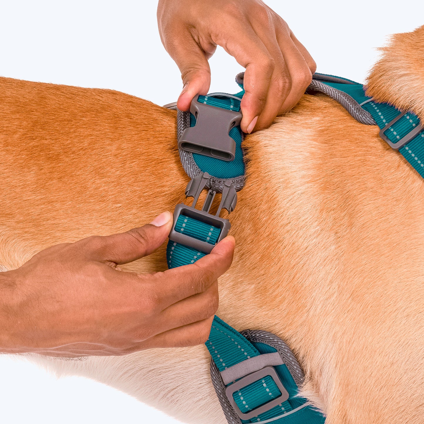 HUFT Active Pet Dog Harness - Teal Blue - Heads Up For Tails