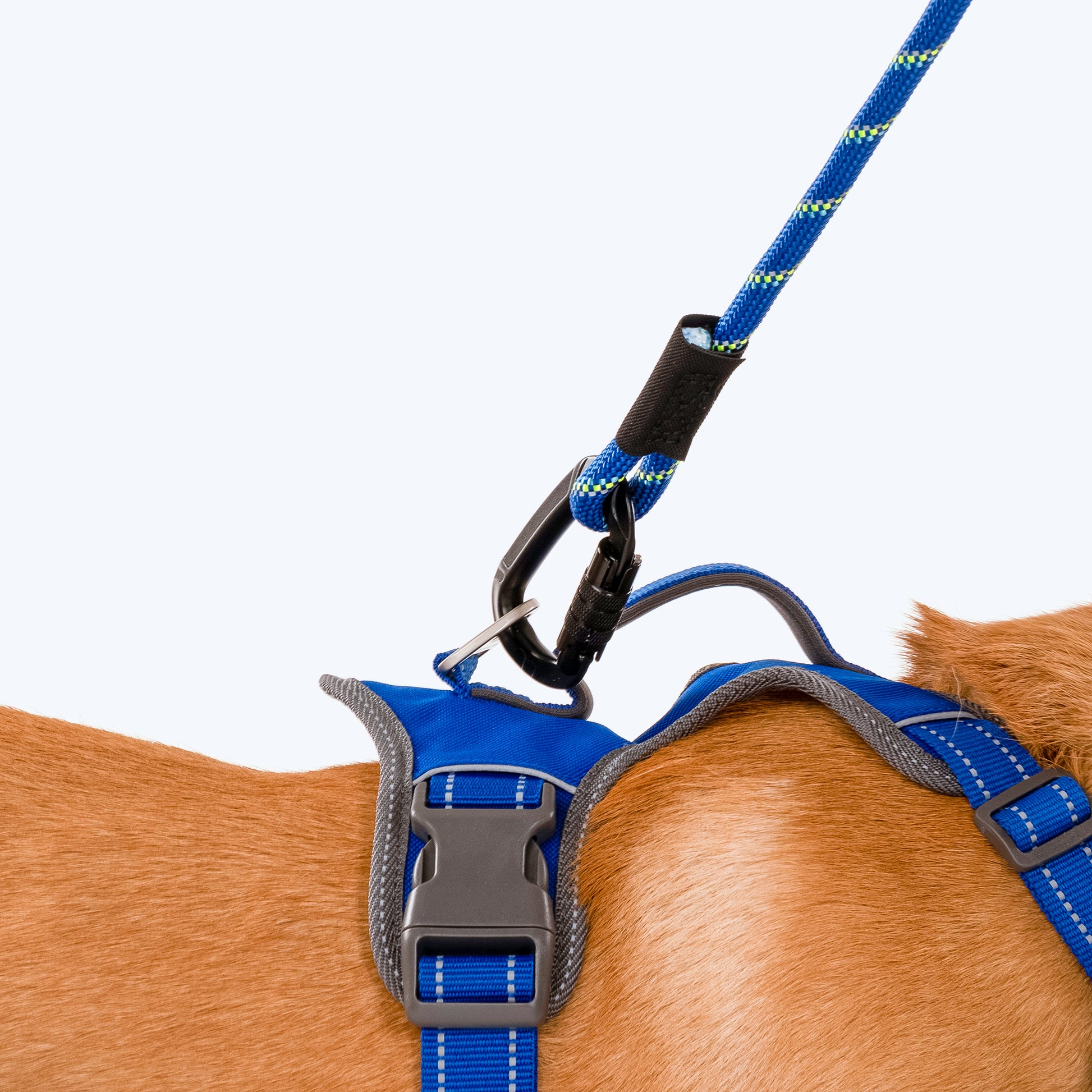 HUFT Active Pet Dog Harness - Royal Blue - Heads Up For Tails