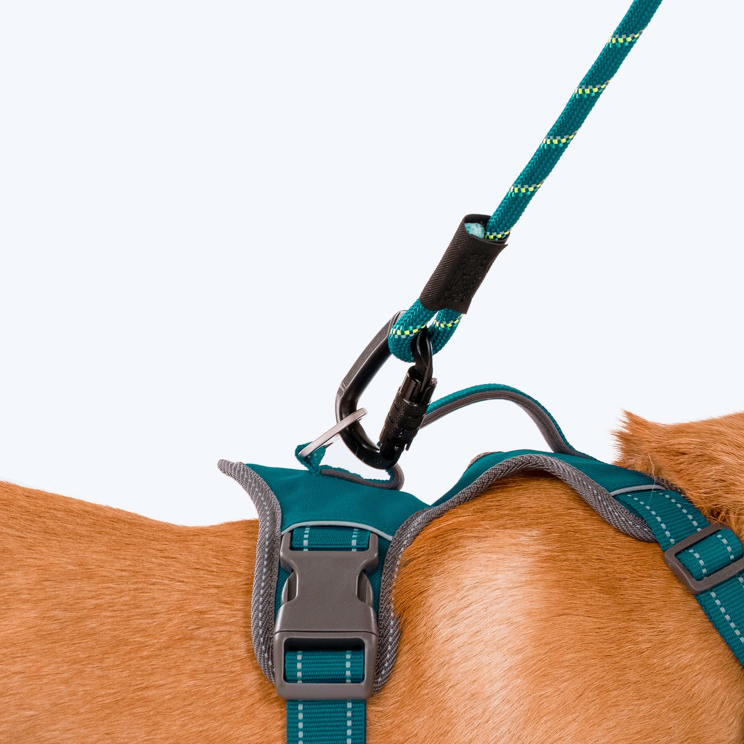 HUFT Active Pet Dog Harness - Teal Blue - Heads Up For Tails