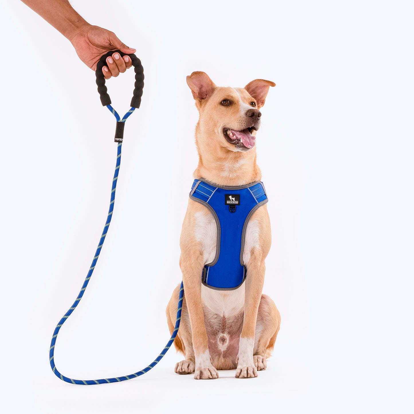 HUFT Rope Dog Leash With Carabiner - Royal Blue - Heads Up For Tails
