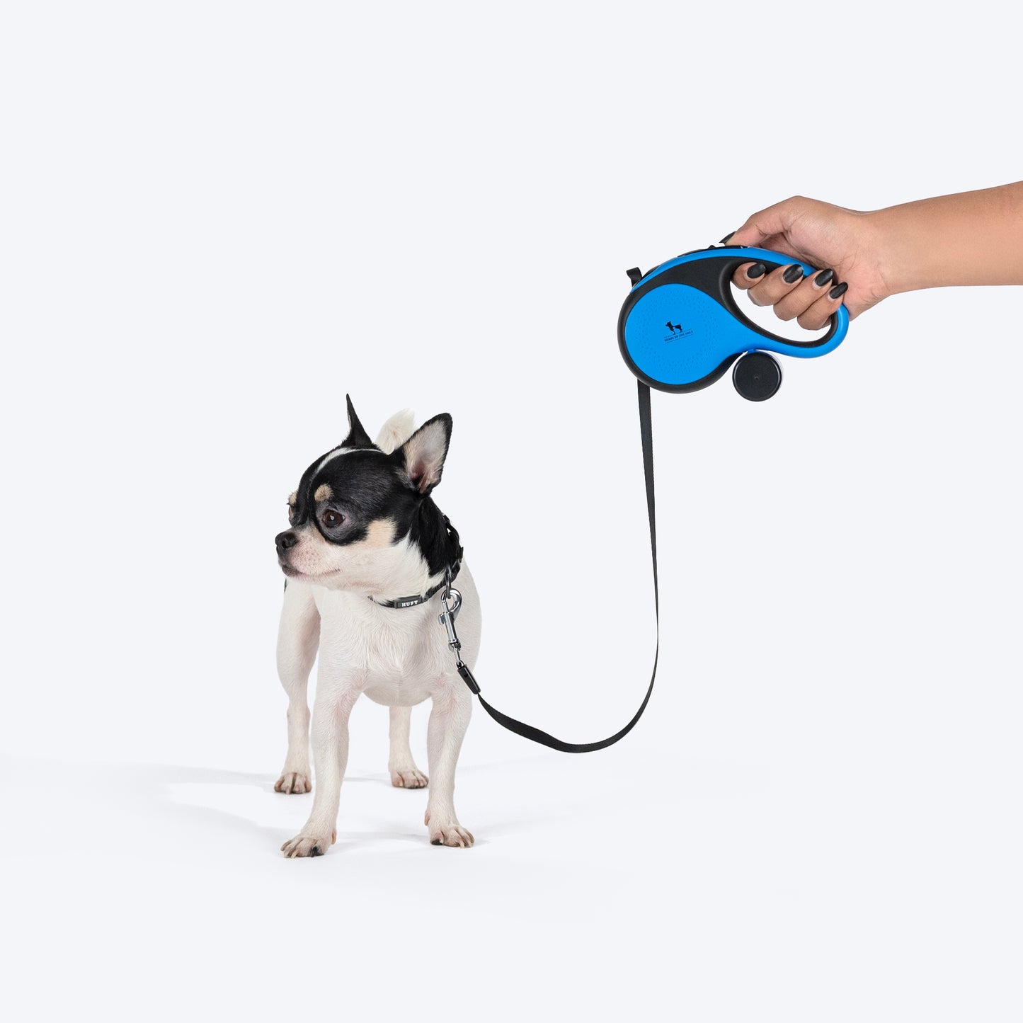 HUFT Retractable Leash With Poop Bag Dispenser For Dog - Blue - Heads Up For Tails