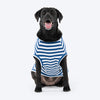 HUFT Best Dog Striped T-Shirt For Dog - Navy Blue & White - Heads Up For Tails