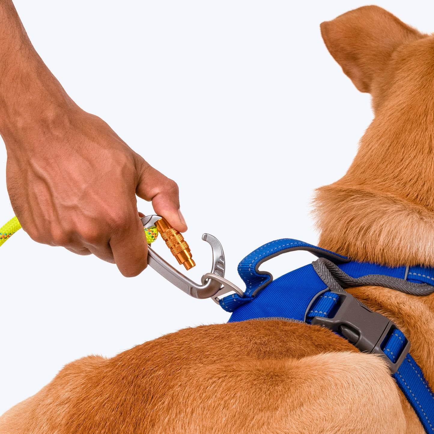 HUFT Rope Dog Leash With Carabiner - Neon Lime Green - Heads Up For Tails