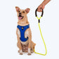 HUFT Rope Dog Leash With Carabiner - Neon Lime Green - Heads Up For Tails