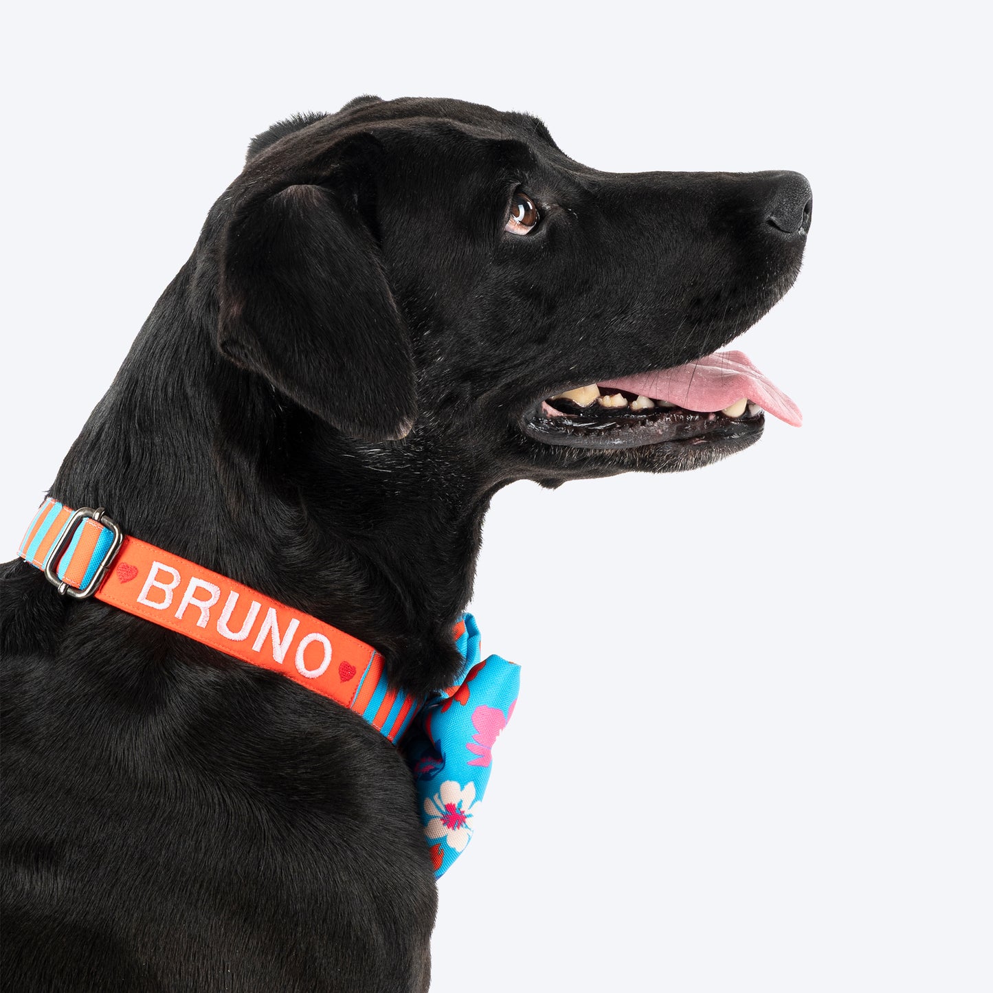 HUFT Personalised Summer Bloom Collar With Bow Tie For Dog - Blue - Heads Up For Tails