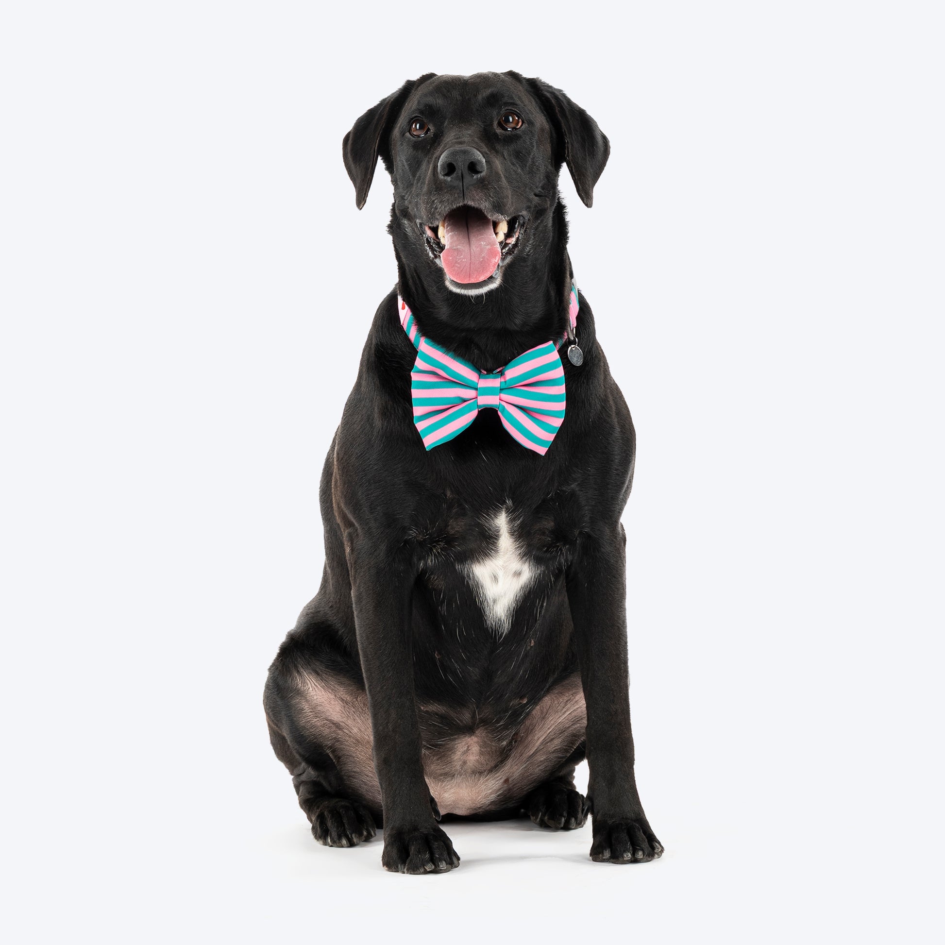 HUFT Personalised Happy Stripes Collar With Bow Tie For Dog - Green & Pink - Heads Up For Tails