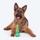 HUFT Beer Bottle Rubber Toy For Dog - Green - Heads Up For Tails