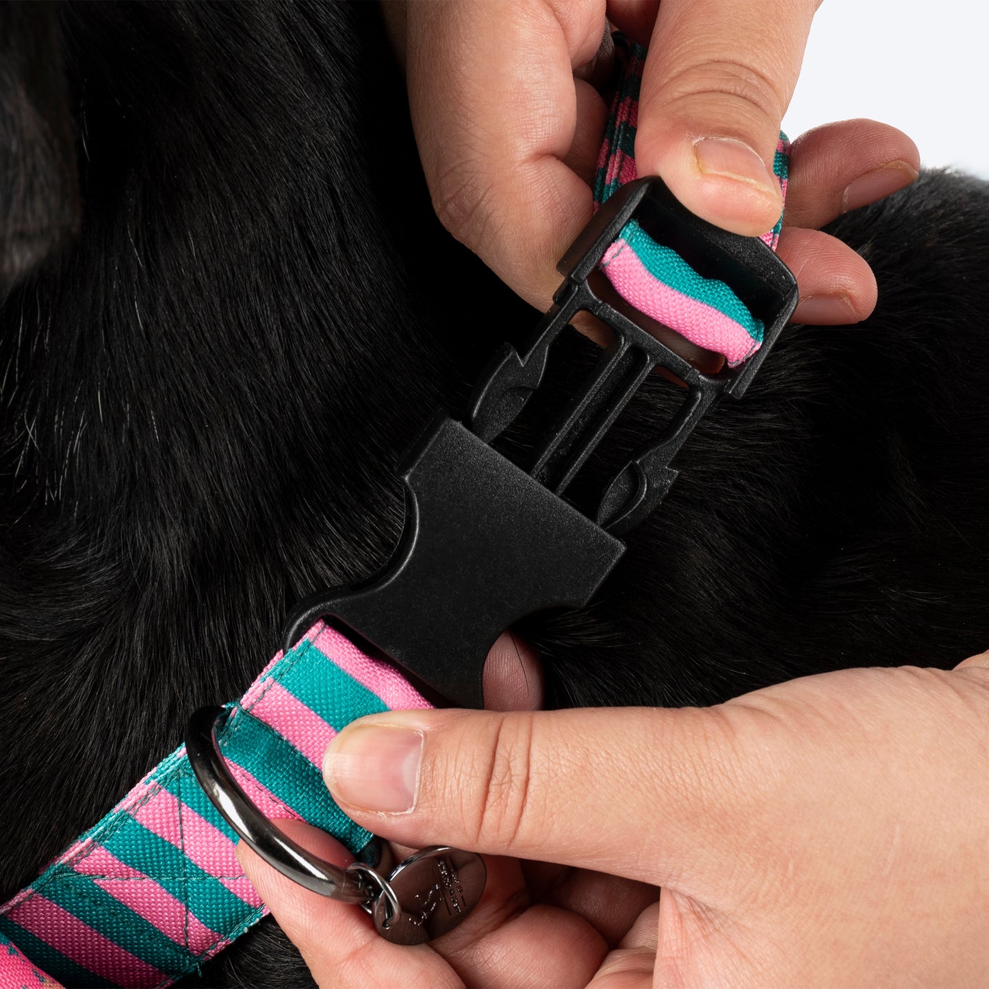 HUFT Personalised Happy Stripes Collar With Bow Tie For Dog - Green & Pink - Heads Up For Tails