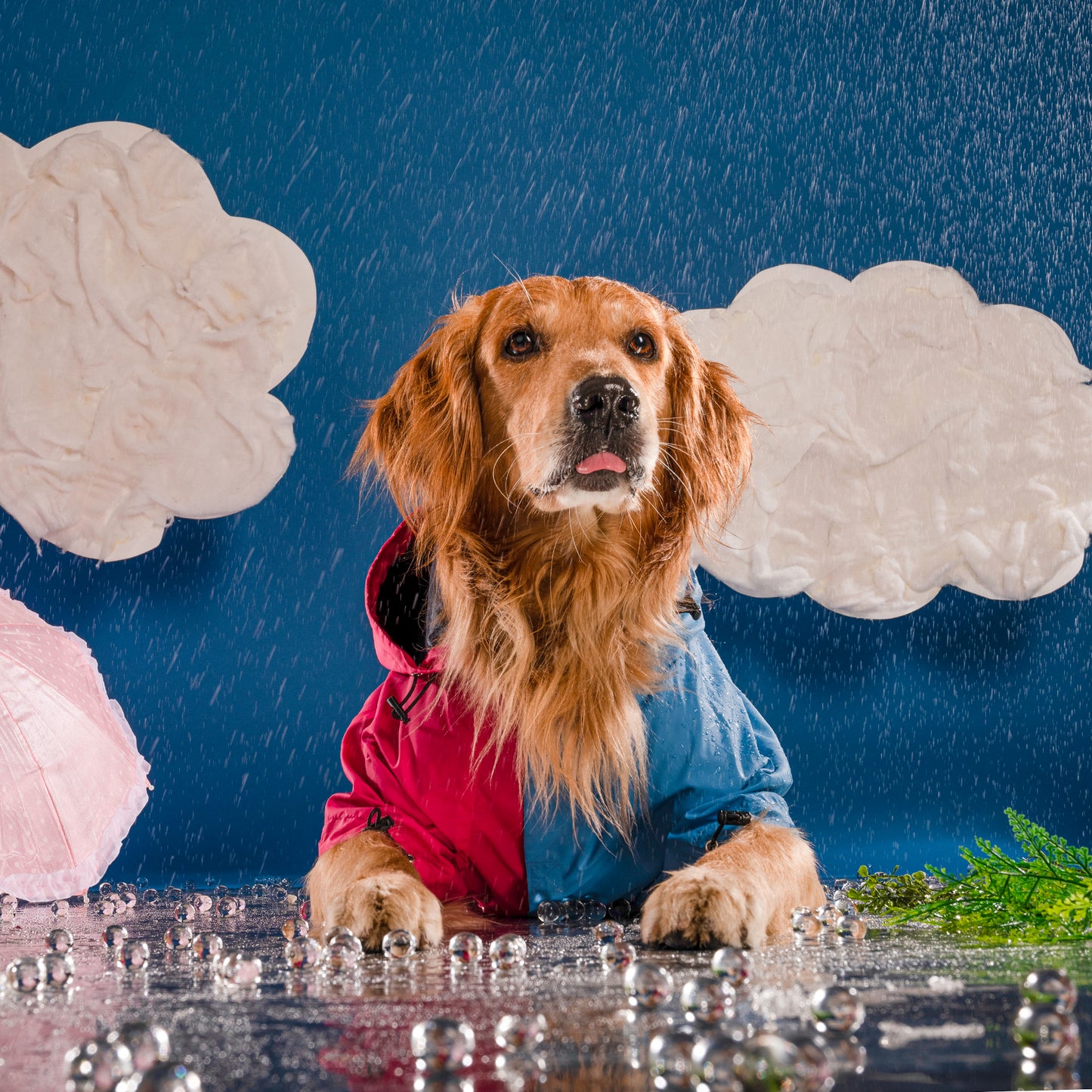 HUFT Magical Mist Dog Raincoat - Light Blue & Pink - Heads Up For Tails