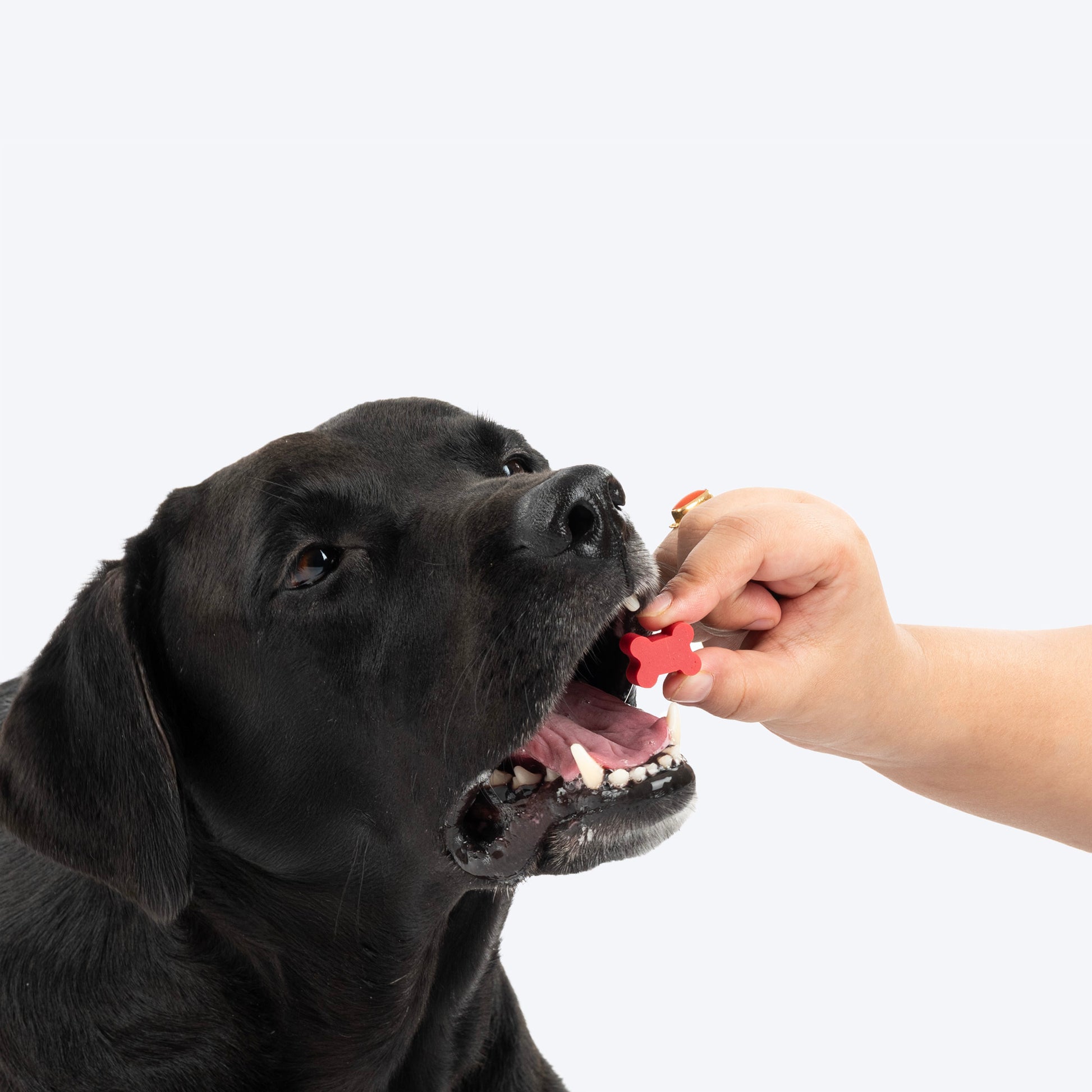 NutriWag Assorted Training Bites Treats For Dog - 200 gm - Heads Up For Tails