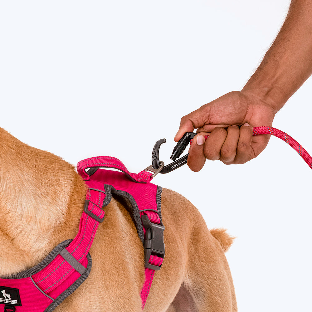 HUFT Active Pet Dog Harness - Magenta Pink - Heads Up For Tails