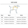 Dash Dog Chevron Easy Walk Harness For Dog - Purple - Heads Up For Tails