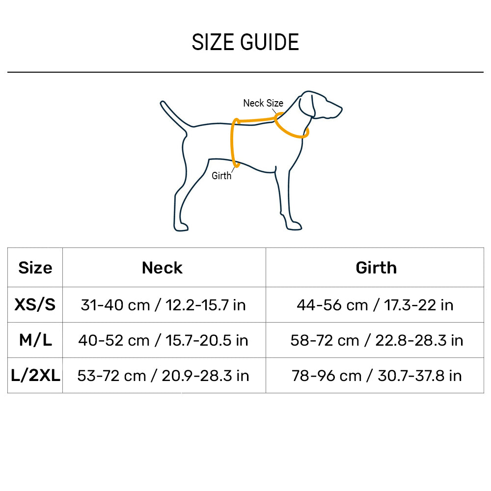 Dash Dog Flow Walk-Along Harness For Dog - Red & Purple - Heads Up For Tails