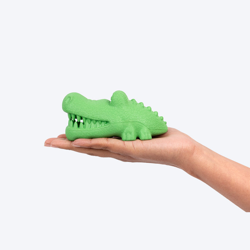 Dash Dog Goofy Gator Chew Toy For Dog - Green - Heads Up For Tails
