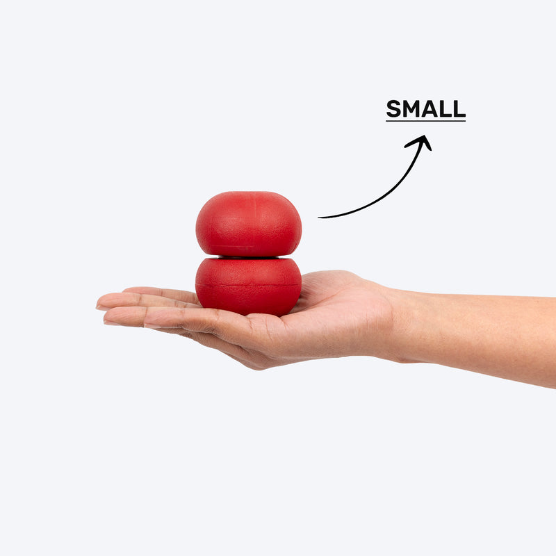 Dash Dog Twist 'n' Chew Toy For Dog - Red - Heads Up For Tails