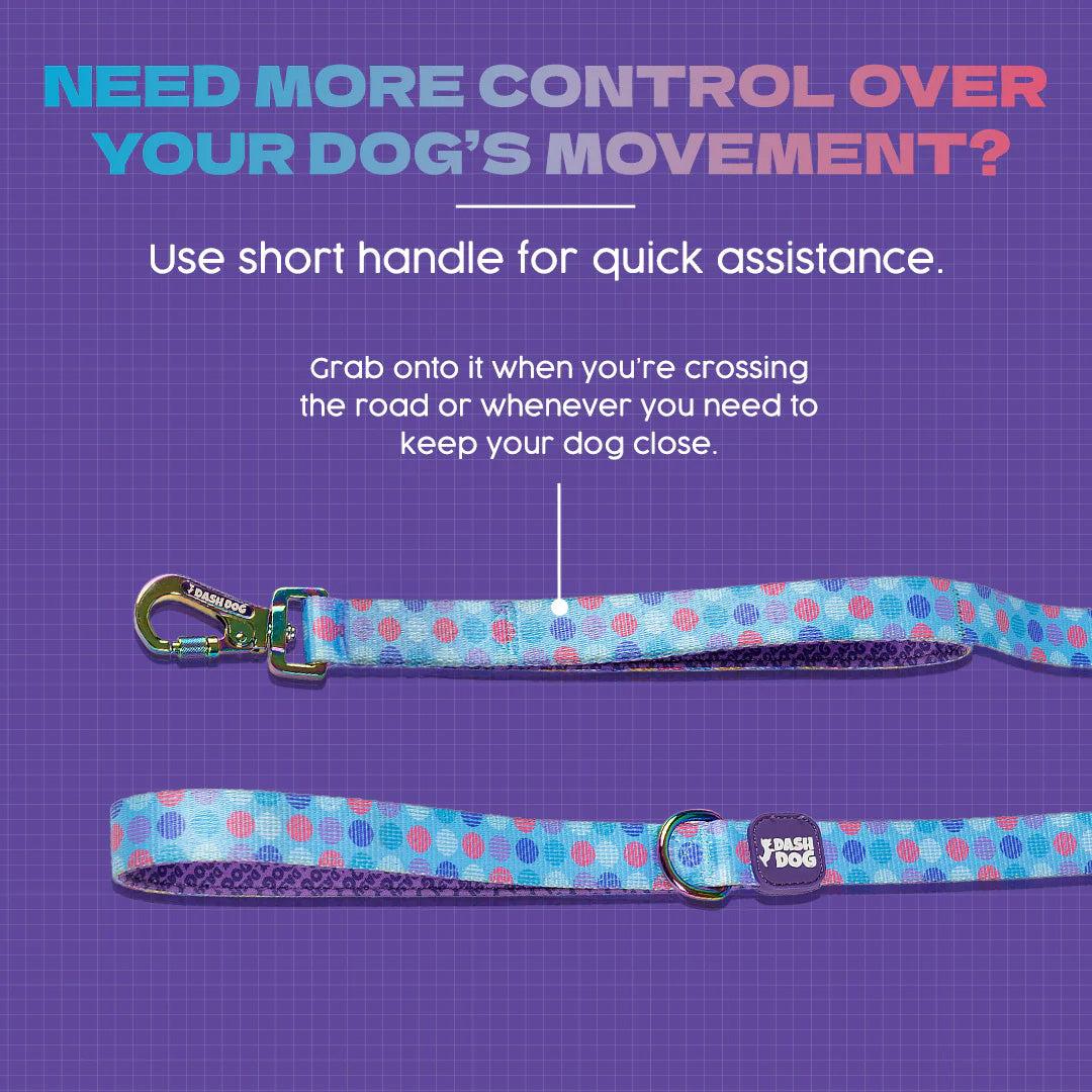Dash Dog Circle Print Leash - Aqua Blue & Lavender - Heads Up For Tails
