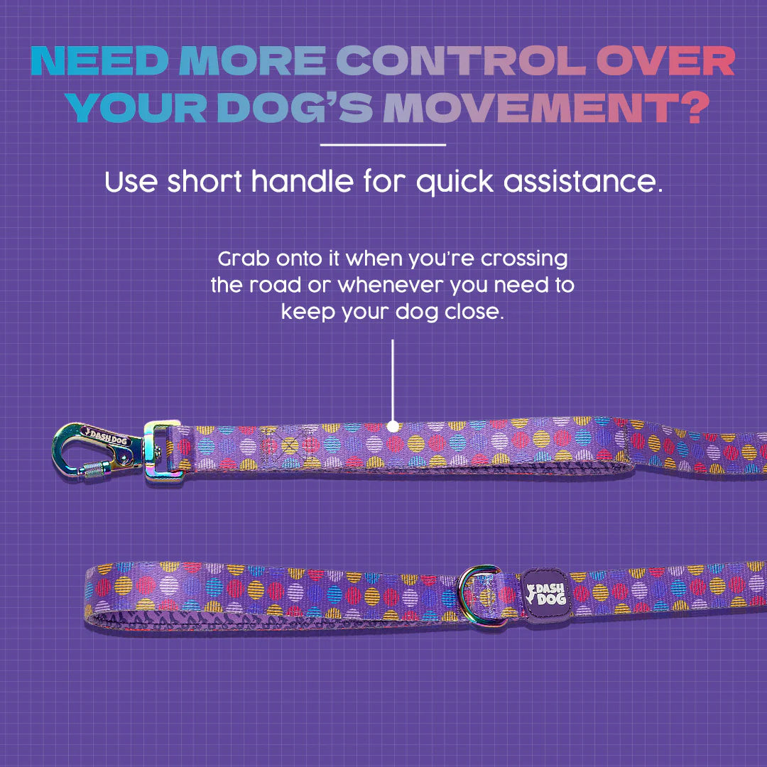 Dash Dog Circle Print Leash - Violet & Red - Heads Up For Tails