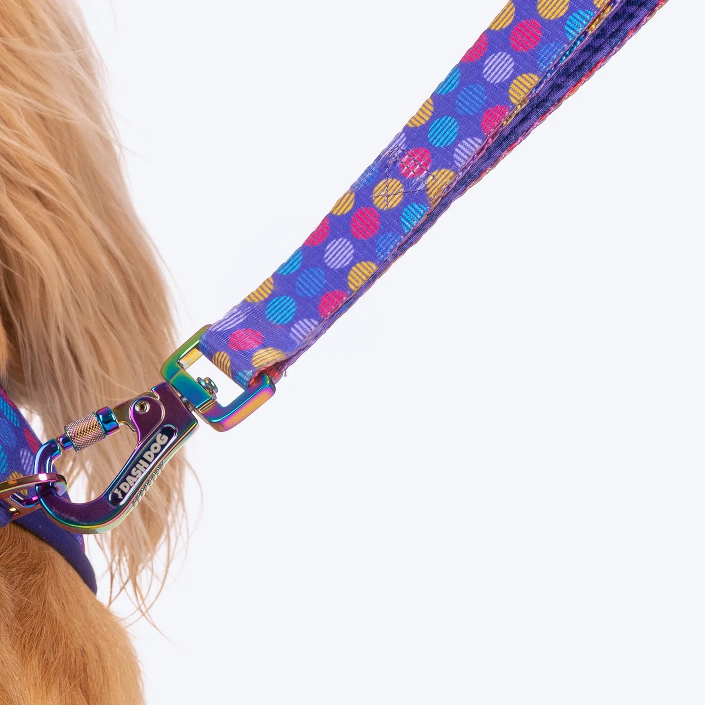 Dash Dog Circle Print Leash - Violet & Red - Heads Up For Tails